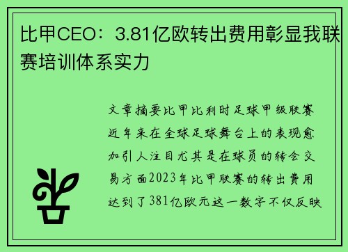 比甲CEO：3.81亿欧转出费用彰显我联赛培训体系实力